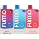 Fummo Spin 10000 Puffs Disposable Vape 