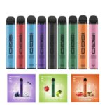 Isgo Vegas 2800 Puffs Disposable Vape