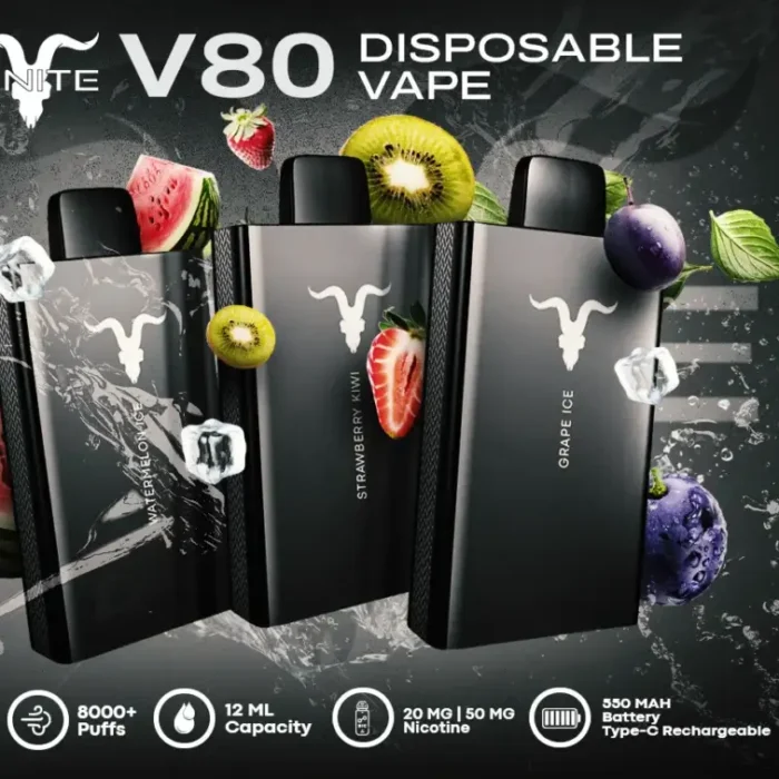 IGNITE - V80 Rechargeable Disposable Vape (8000 Puffs)