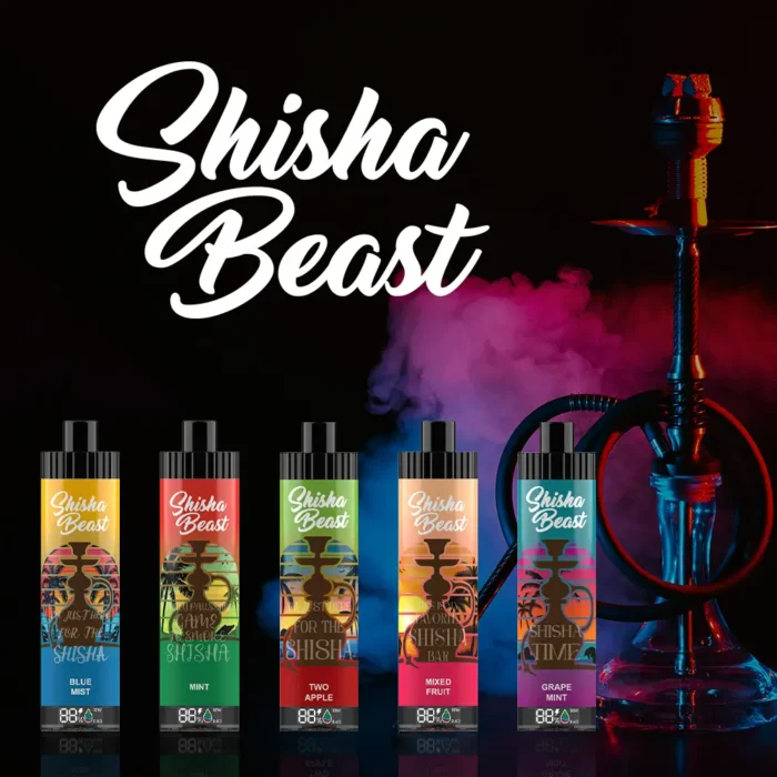 Shisha Bomb Rechargeable Disposables Vape ( +10000 Puffs )